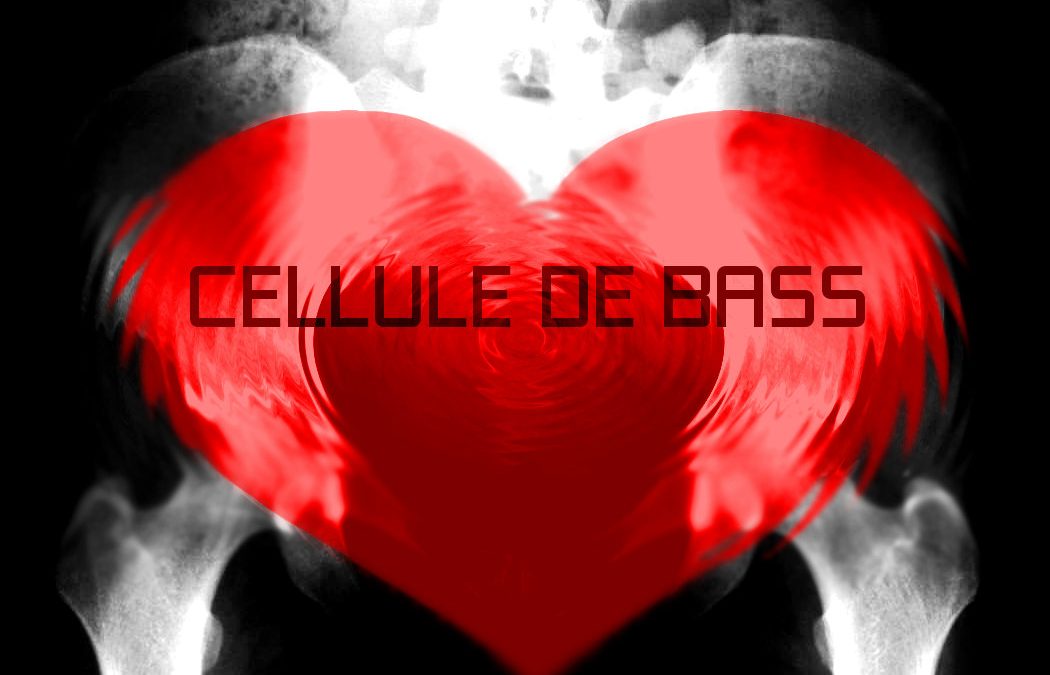 Cellule de bass