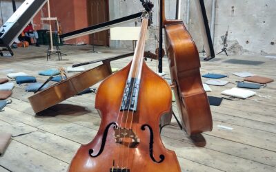 Obstinatio de la caresse